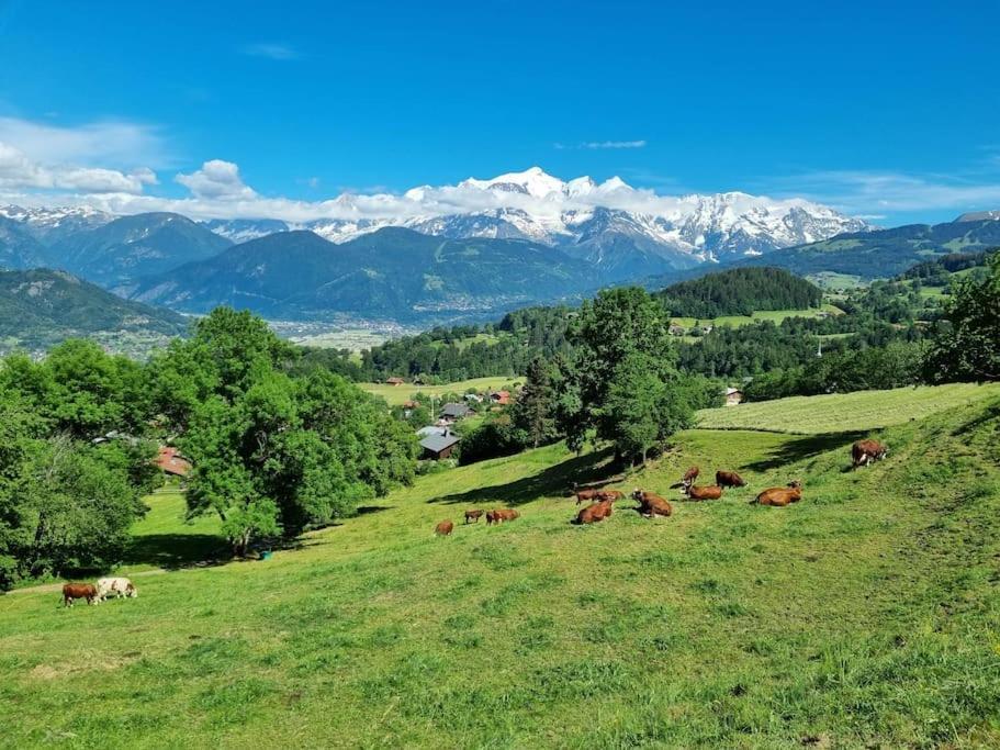 A Cordon Entre Bois Et Nature Zewnętrze zdjęcie