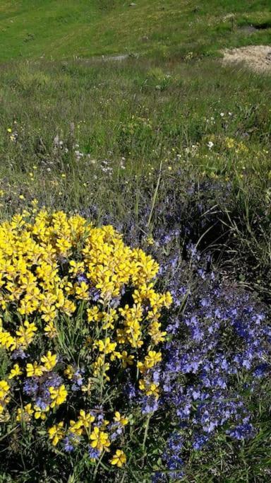 A Cordon Entre Bois Et Nature Zewnętrze zdjęcie